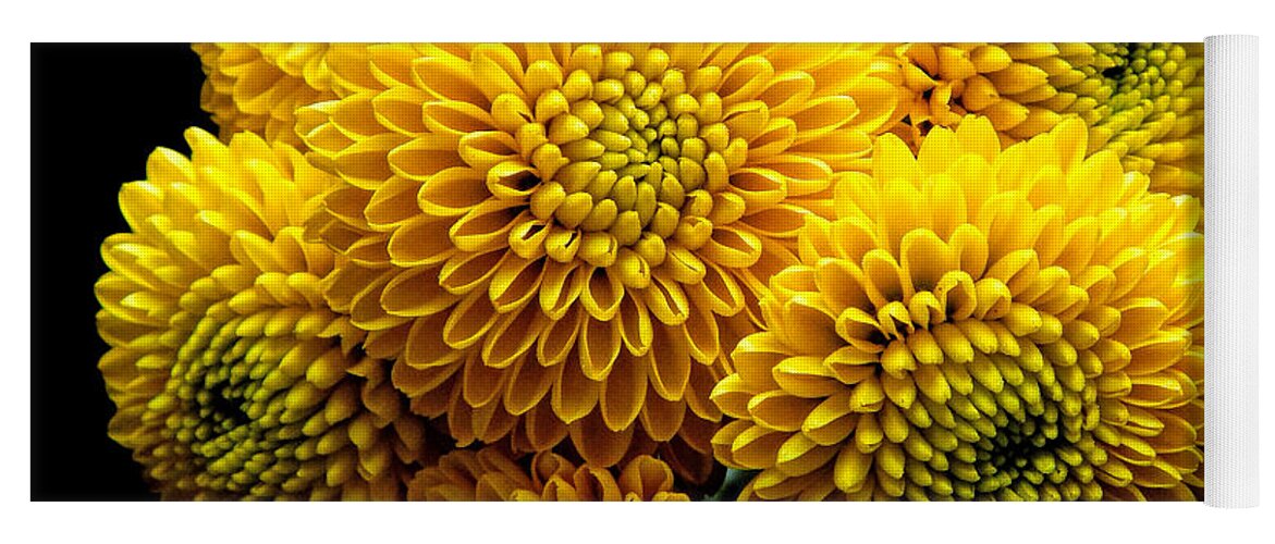 Flowers Yoga Mat featuring the photograph Yellow Chrysanthemum II Still Life Flower Art Poster by Lily Malor