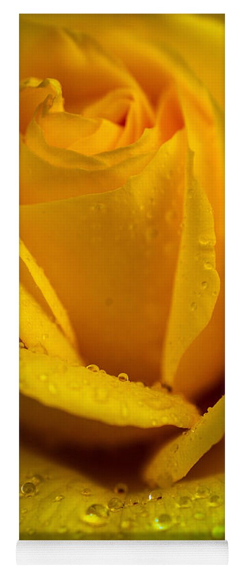Rose Yoga Mat featuring the photograph Yellow Garden Queen. Yellow Rose by Jenny Rainbow