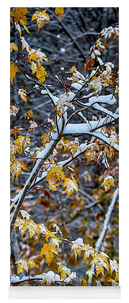 Snow Yoga Mat featuring the mixed media Yellow Maple and Snow by John Haldane