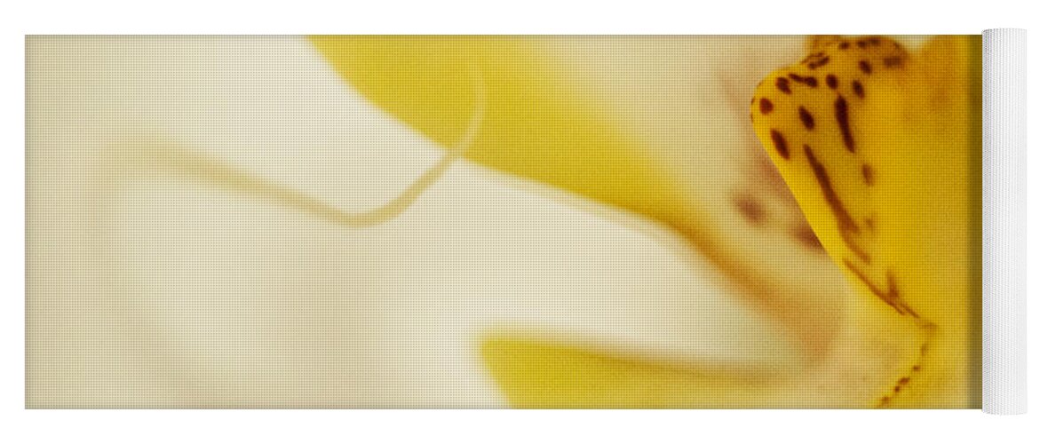Yello Yoga Mat featuring the photograph Yellow Orchid by Bradley R Youngberg