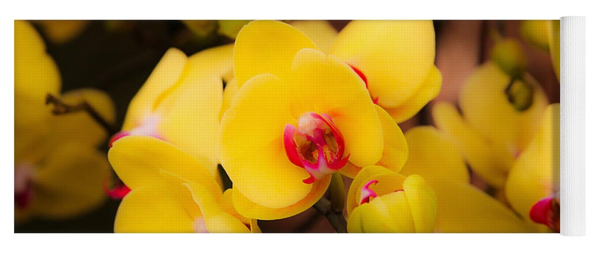 London Yoga Mat featuring the photograph Yellow Orchids by Ross Henton