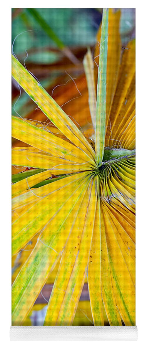 Leaf Yoga Mat featuring the photograph Yellow Palm 1 by Stephen Anderson