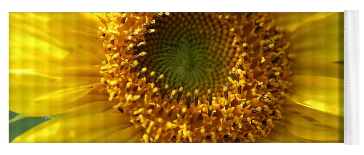 Sunflower Yoga Mat featuring the photograph Yellow Sunshine by Neal Eslinger