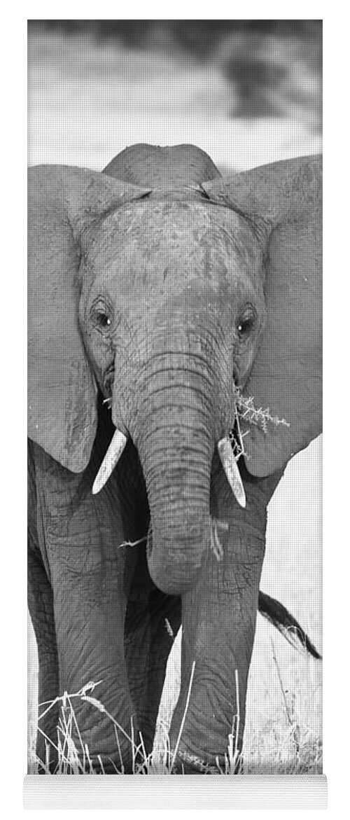 3scape Photos Yoga Mat featuring the photograph Young Bull Elephant by Adam Romanowicz