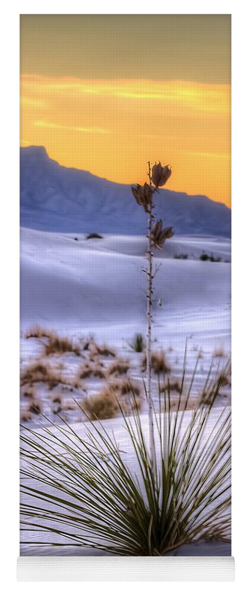 Colorado Yoga Mat featuring the photograph Yucca on White Sand by Kristal Kraft