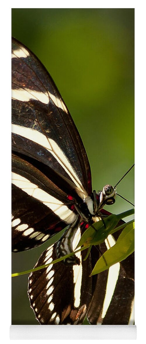 Zebra Yoga Mat featuring the photograph Zebra longwing 3 by Photos By Cassandra