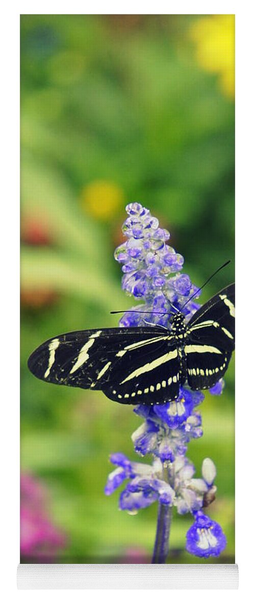 Zebra Longwing Yoga Mat featuring the photograph Zebra Longwing by Laurie Perry
