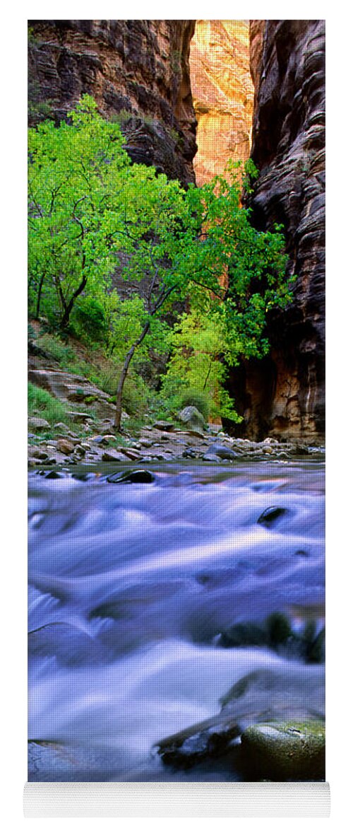 America Yoga Mat featuring the photograph Zion Narrows by Inge Johnsson