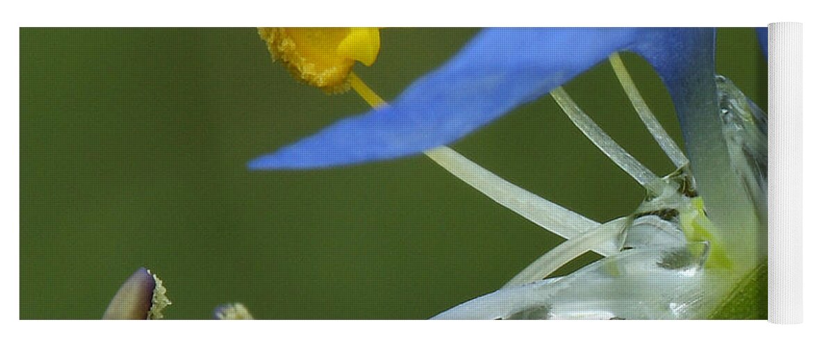 Slender Dayflower Yoga Mat featuring the photograph Close View Of Slender Dayflower Flower With Dew by Daniel Reed