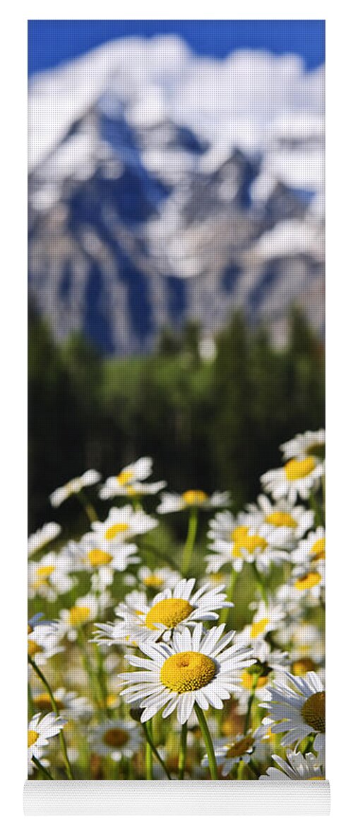 Daisies Yoga Mat featuring the photograph Daisies at Mount Robson provincial park by Elena Elisseeva