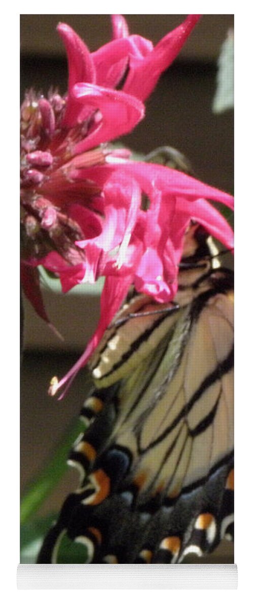 Butterfly Yoga Mat featuring the photograph Eastern Yellowtail #1 by Kim Galluzzo
