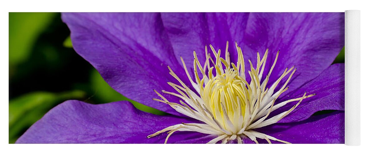 Da*55 1.4 Yoga Mat featuring the photograph Purple Clematis Flower #1 by Lori Coleman