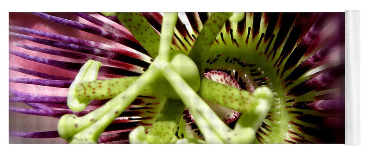 Passion Flower Yoga Mat featuring the photograph Purple Passion #1 by Kim Galluzzo