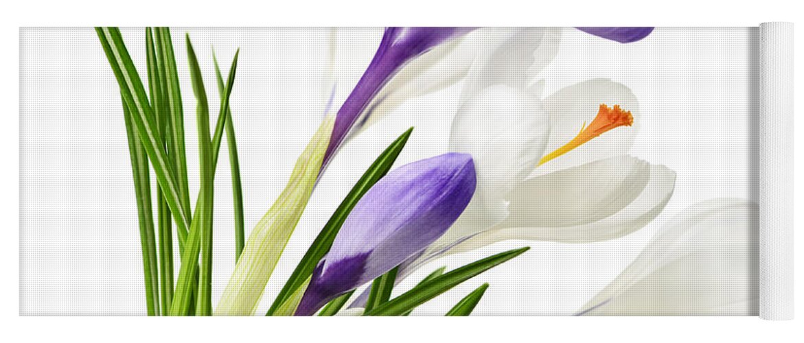 Flowers Yoga Mat featuring the photograph Spring crocus flowers by Elena Elisseeva