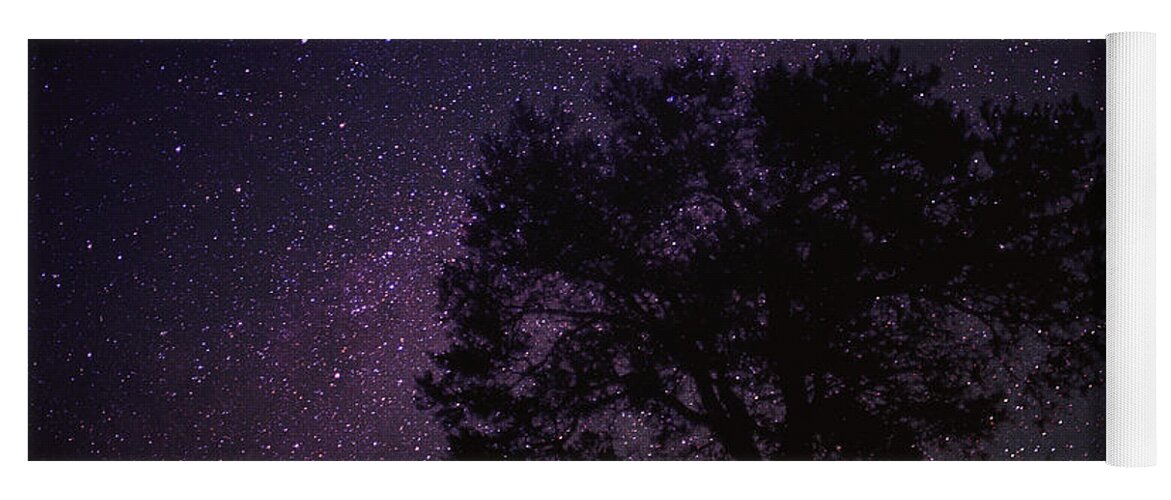 00170736 Yoga Mat featuring the photograph Starry Sky With Silhouetted Oak Tree #1 by Tim Fitzharris