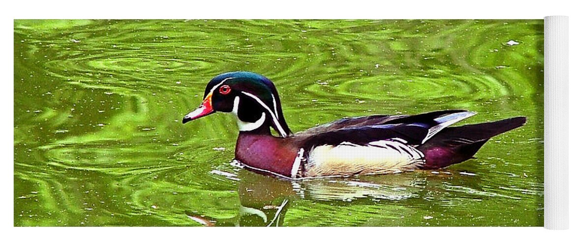 Water Wood Duck Canvas Yoga Mat featuring the photograph Water Wood Duck by Wendy McKennon