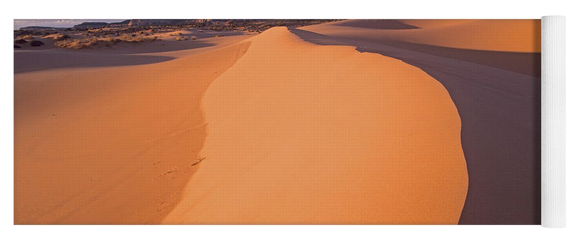 00175735 Yoga Mat featuring the photograph Wind Ripples In Sand Dunes #1 by Tim Fitzharris