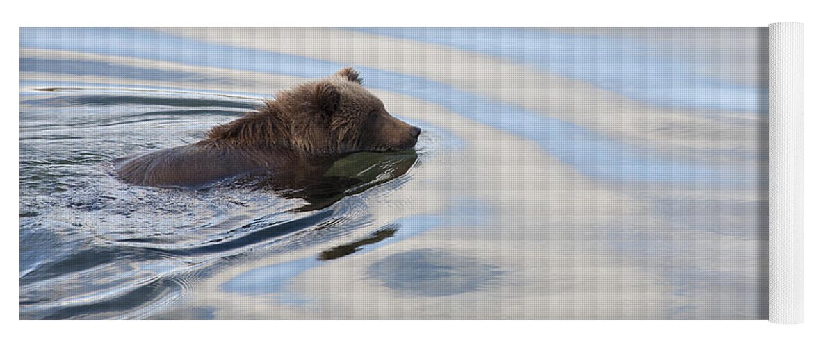 Mp Yoga Mat featuring the photograph Grizzly Bear Ursus Arctos Horribilis #23 by Matthias Breiter