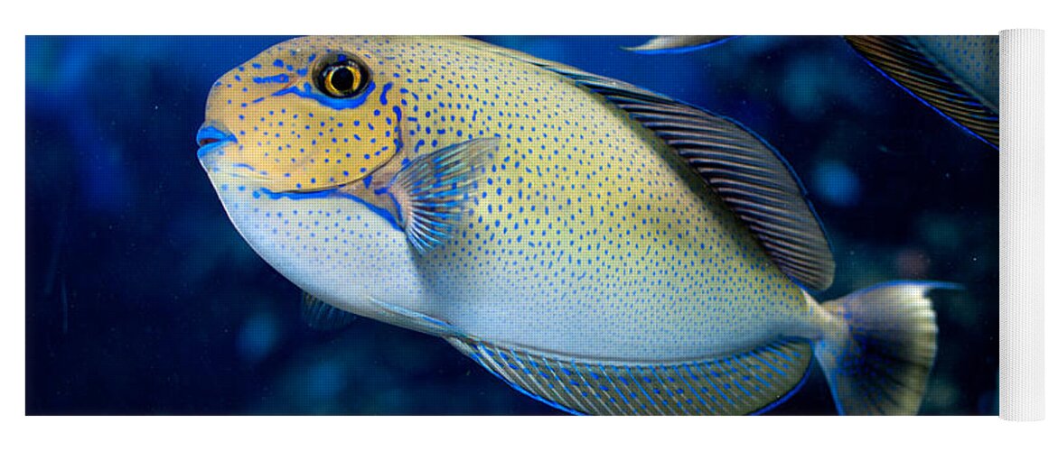 Aquarium Yoga Mat featuring the digital art Tropical Fish #3 by Carol Ailles