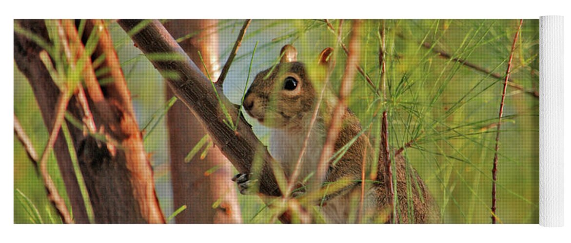 Squirrels Yoga Mat featuring the photograph 4- Incognito by Joseph Keane