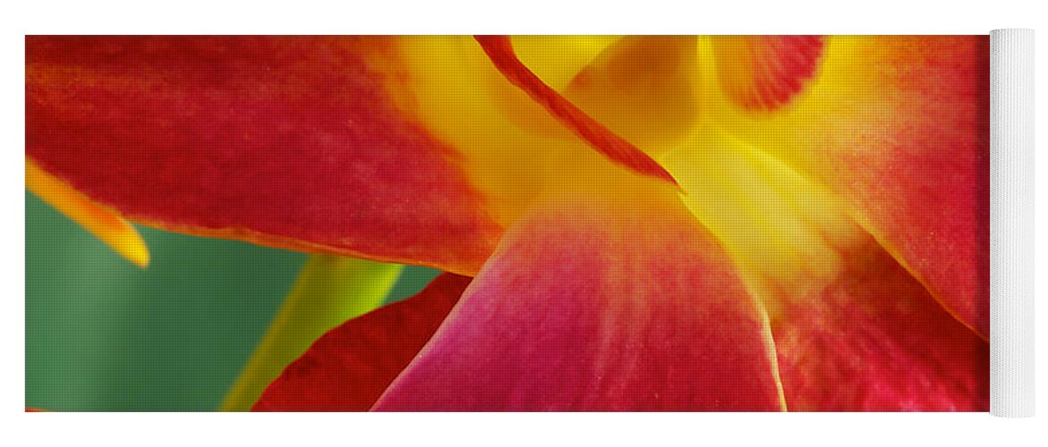 Dendrobium Yoga Mat featuring the photograph Dendribium malone or Hope orchid Flower #6 by Perla Copernik