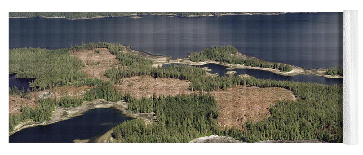 Mp Yoga Mat featuring the photograph Aerial View Of Clearcut Temperate by Gerry Ellis
