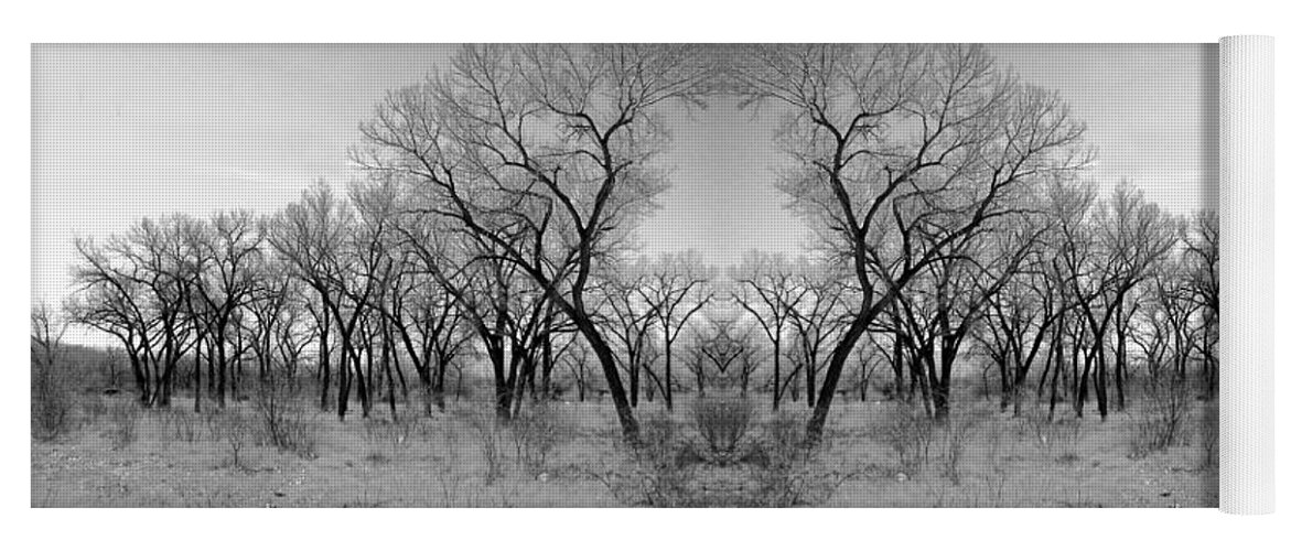Landscape Yoga Mat featuring the photograph Altered Series - Bare Double by Kathleen Grace