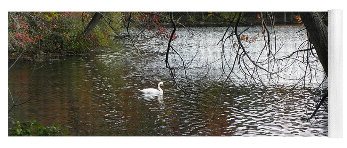 Geese Yoga Mat featuring the photograph An Autumn Swim by Kim Galluzzo Wozniak