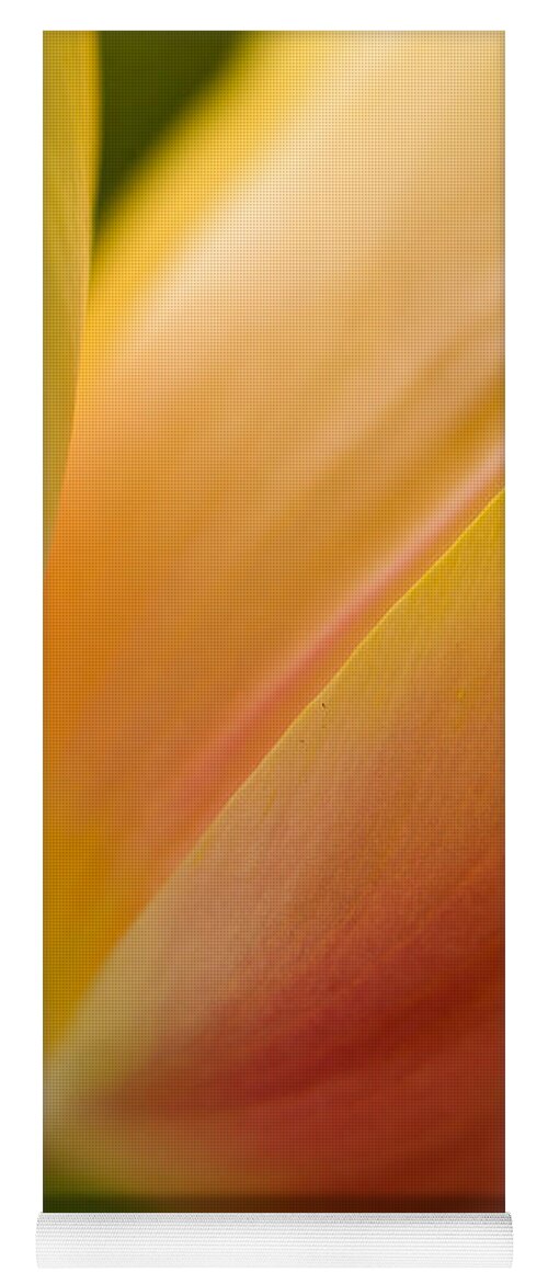 Tulip Yoga Mat featuring the photograph April Grace by Mike Reid