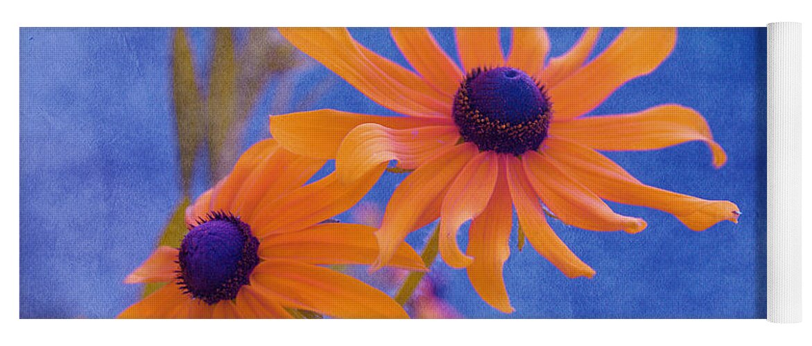 black Eyed Susan Yoga Mat featuring the photograph Attachement - s11at01d by Variance Collections