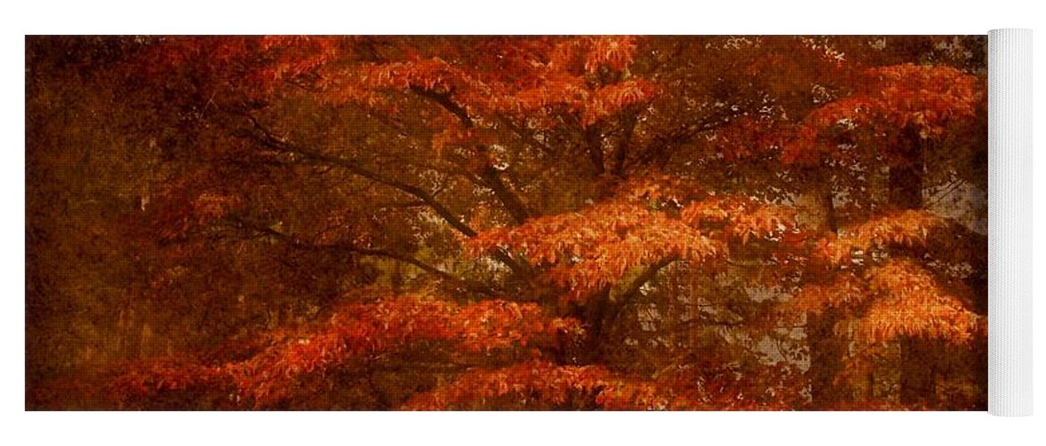 Autumn Yoga Mat featuring the photograph Autumn's Tradition - Ocean County Park by Angie Tirado