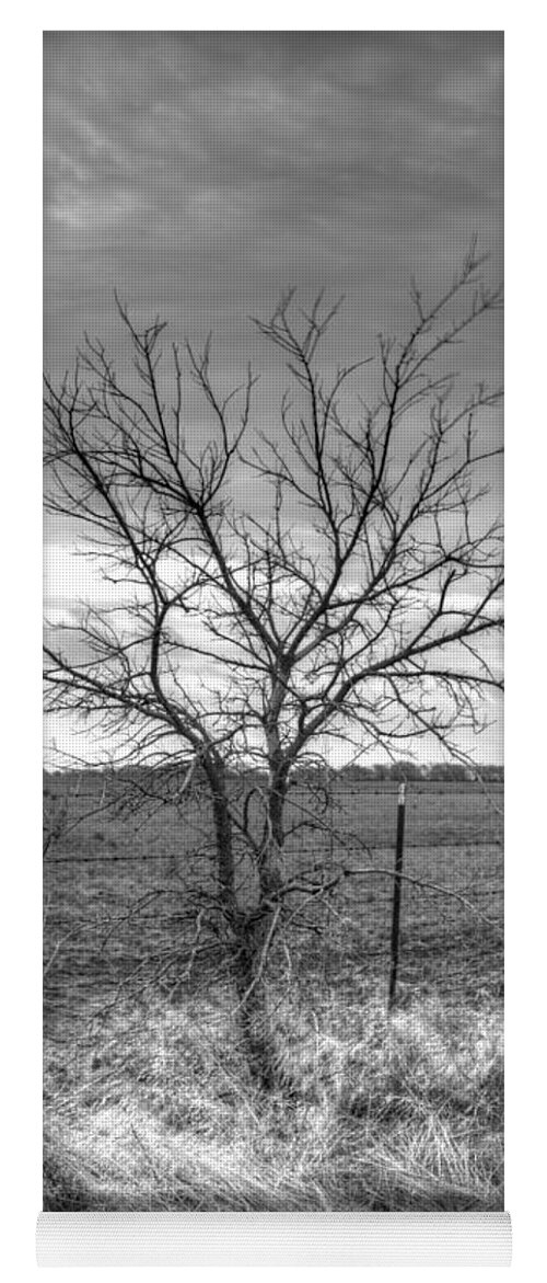 Tree Yoga Mat featuring the photograph B/W Tree in The Country by Peter Ciro