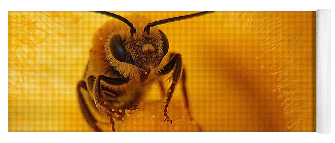Bee Yoga Mat featuring the photograph Bee on Squash Flower by Jack Schultz