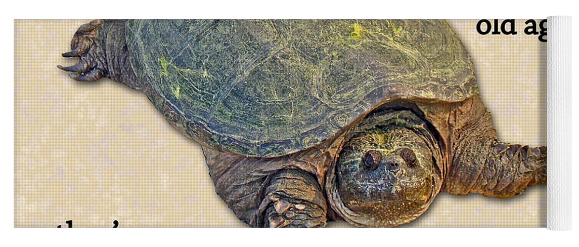 Birthday Yoga Mat featuring the photograph Birthday Card American Snapping Turtle by Carol Senske