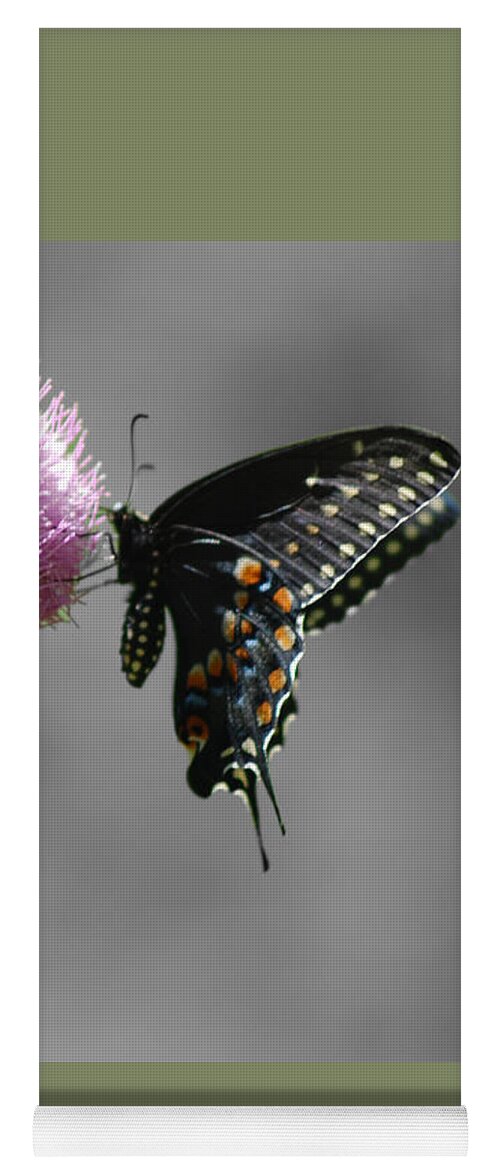 Black Swallowtail Yoga Mat featuring the photograph Black Swallowtail and Thistle by Susan Stevens Crosby