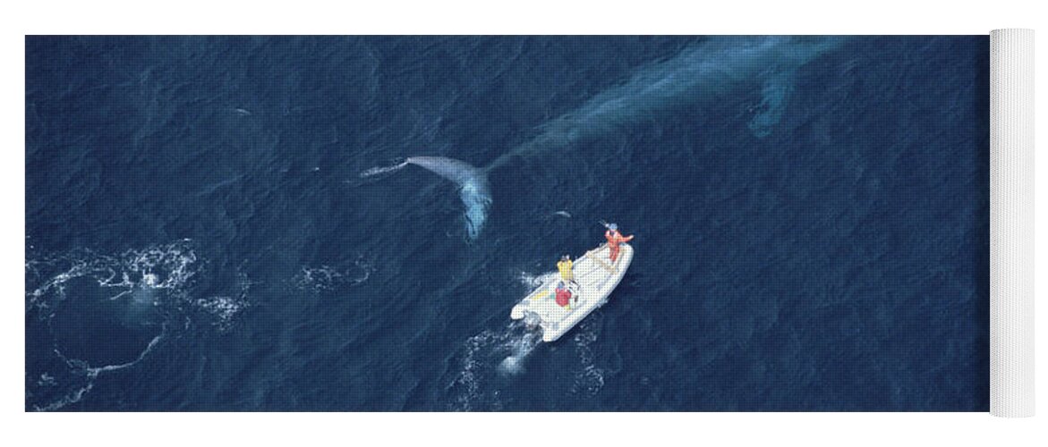 00045067 Yoga Mat featuring the photograph Blue Whale With Research Boat Santa by Flip Nicklin