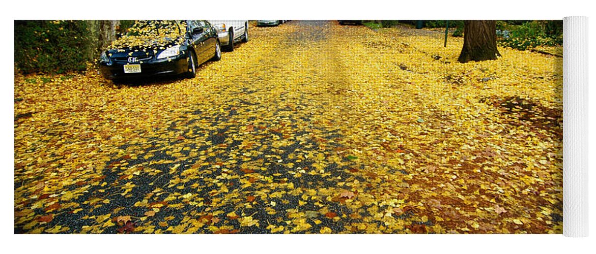 Fall Leaves Yoga Mat featuring the photograph Brooklyn New York by Mark Gilman