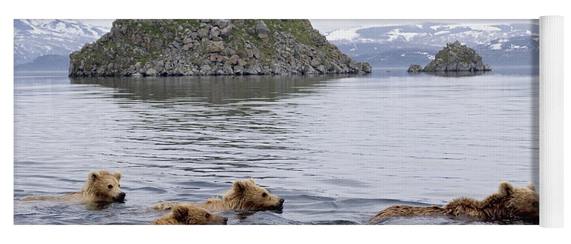 00782083 Yoga Mat featuring the photograph Brown Bear And Cubs in Kamchatka by Sergey Gorshkov