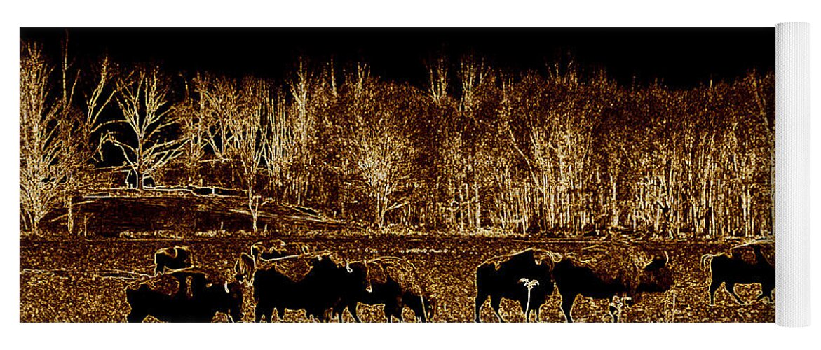 Buffalo Yoga Mat featuring the photograph Buffalos roaming by Kim Galluzzo Wozniak
