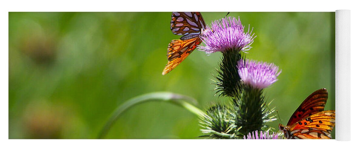 Butterflies Yoga Mat featuring the photograph Butterflies on Thistles by Diana Haronis