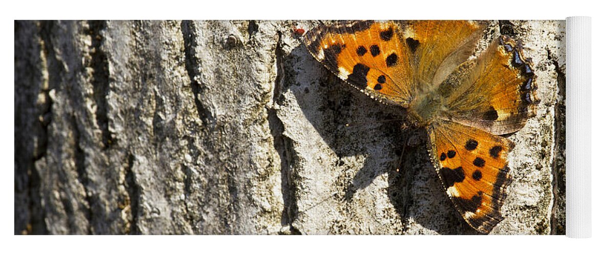 Butterfly Yoga Mat featuring the photograph Butterfly 02 by Raffaella Lunelli