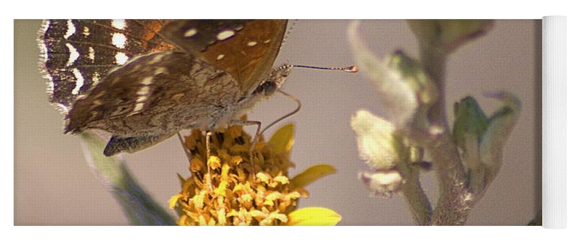 Butterfly Yoga Mat featuring the digital art Butterfly On Marigold 1 by John Kolenberg