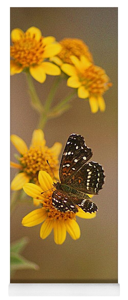 Butterfly Yoga Mat featuring the digital art Butterfly On Marigold by John Kolenberg