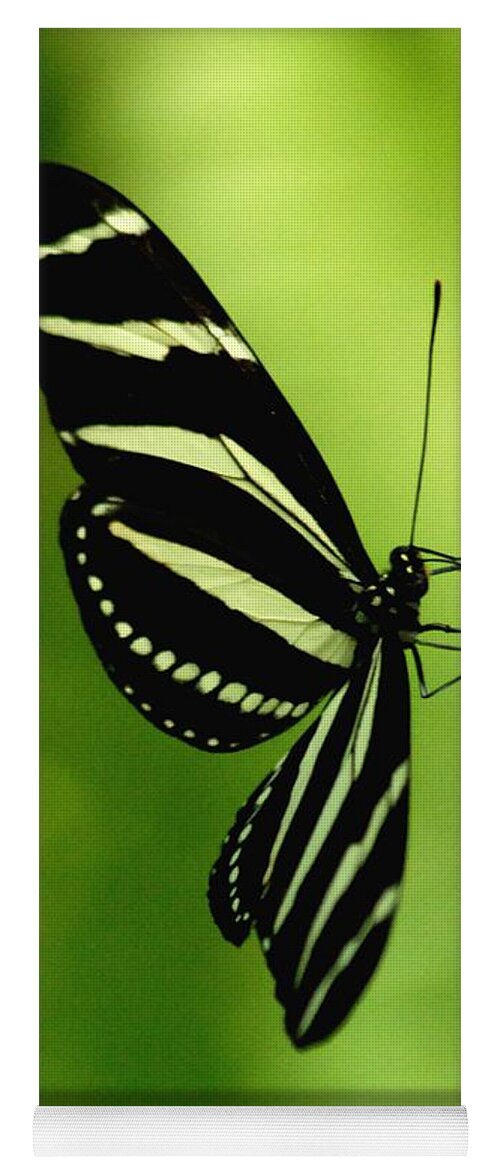Butterfly Yoga Mat featuring the photograph Butterfly by Ronald Grogan