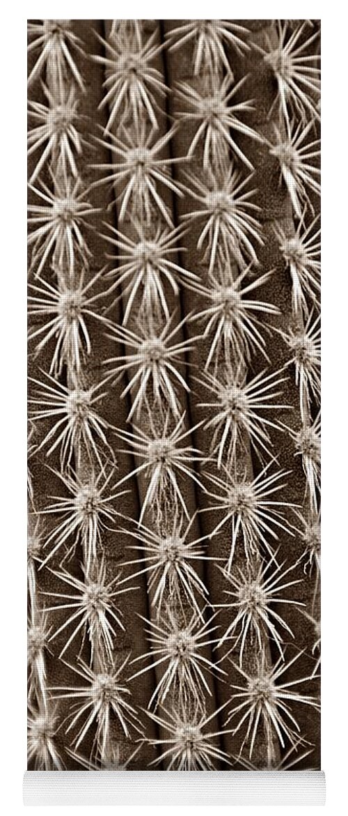 Cactus Yoga Mat featuring the photograph Cactus 19 Sepia by Cassie Marie Photography