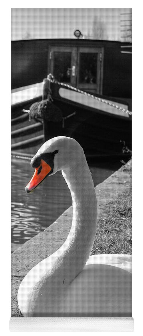  Yhun Suarez Yoga Mat featuring the photograph Canal Swan by Yhun Suarez