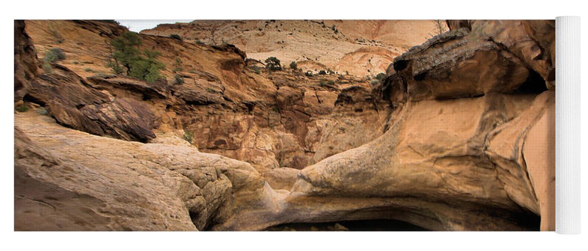 Capitol Reef National Park Yoga Mat featuring the photograph Canyon Pool by Adam Jewell