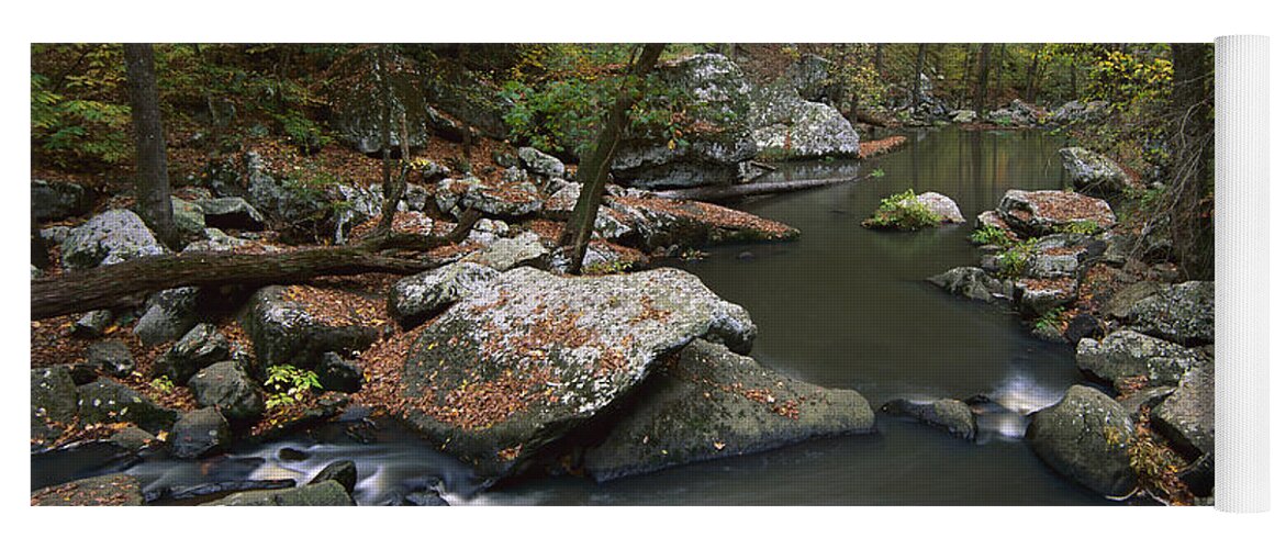 00174932 Yoga Mat featuring the photograph Cedar Creek Flowing Through Deciduous by Tim Fitzharris