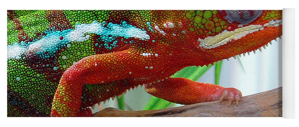 Chameleon Yoga Mat featuring the photograph Chameleon Close Up by Nancy Mueller
