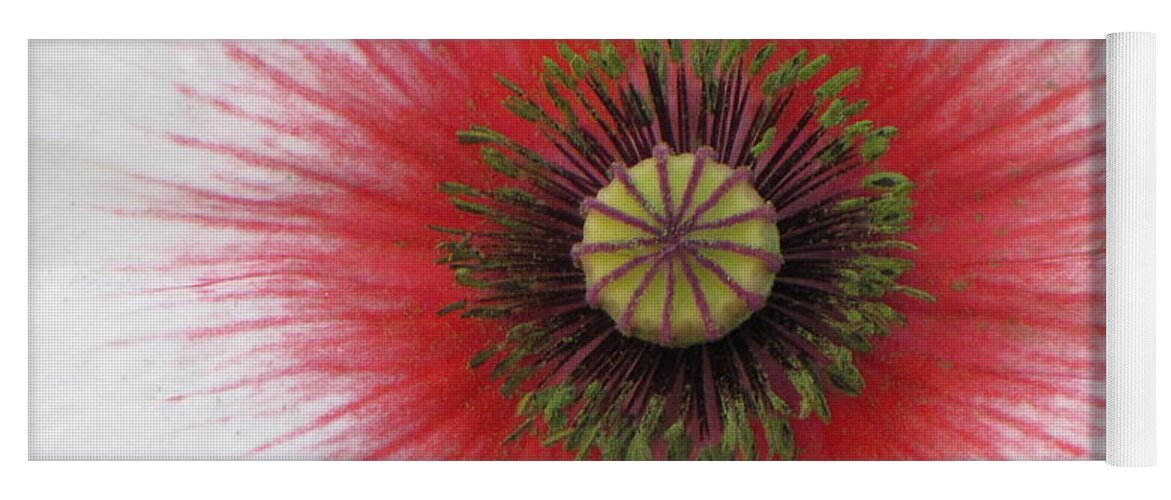 Poppy Yoga Mat featuring the photograph Charisma by Michele Penner